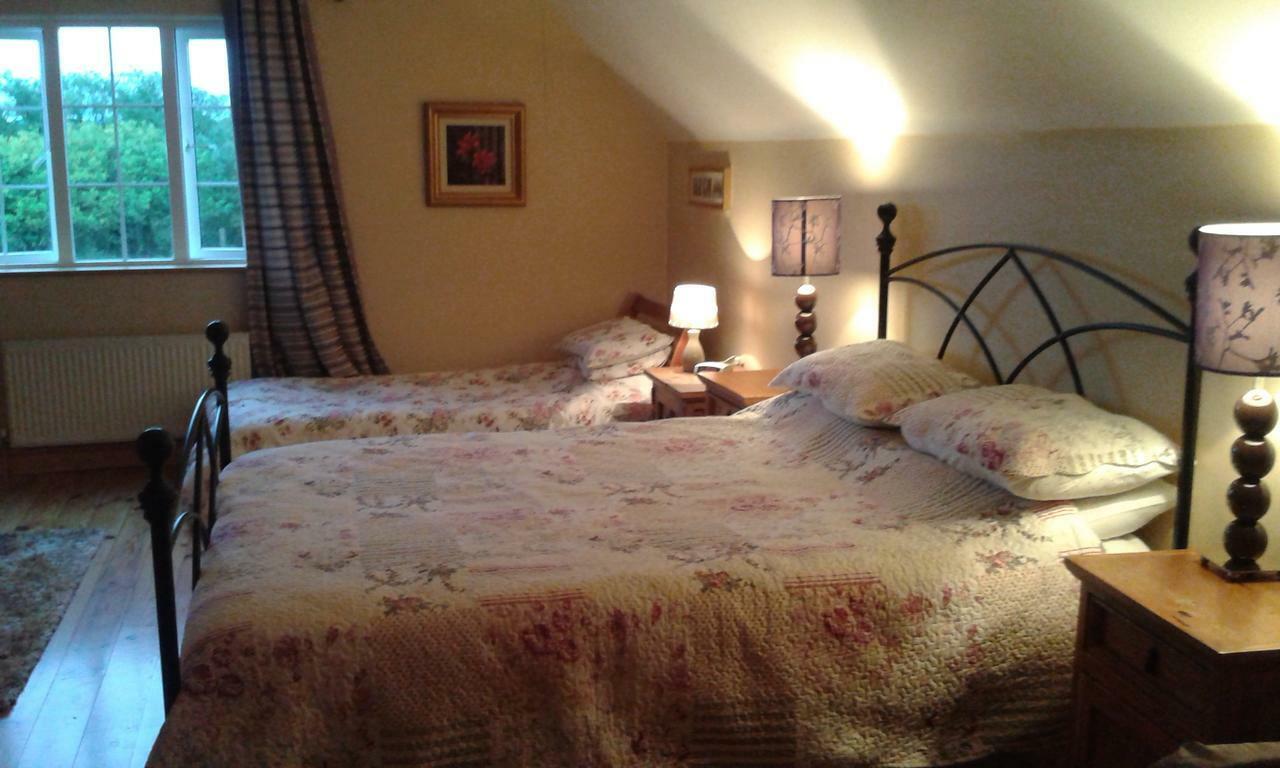 White Swan Bed & Breakfast Sherlockstown Luaran gambar